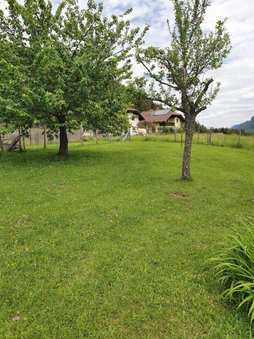 Charmantes Ferienhaus In Bester Lage Keutschach am See Dış mekan fotoğraf