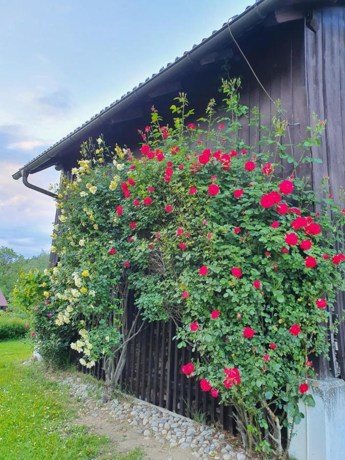 Charmantes Ferienhaus In Bester Lage Keutschach am See Dış mekan fotoğraf